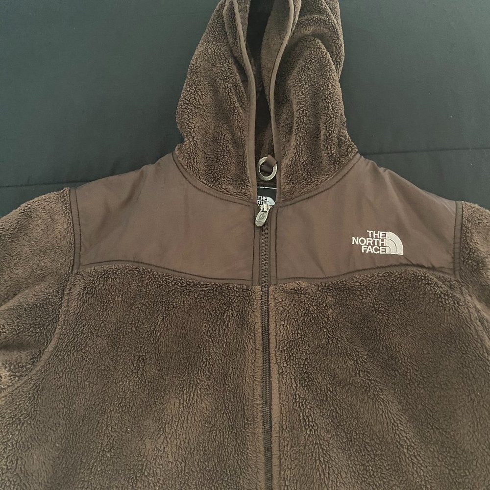 Brown Fuzzy North Face Jacket